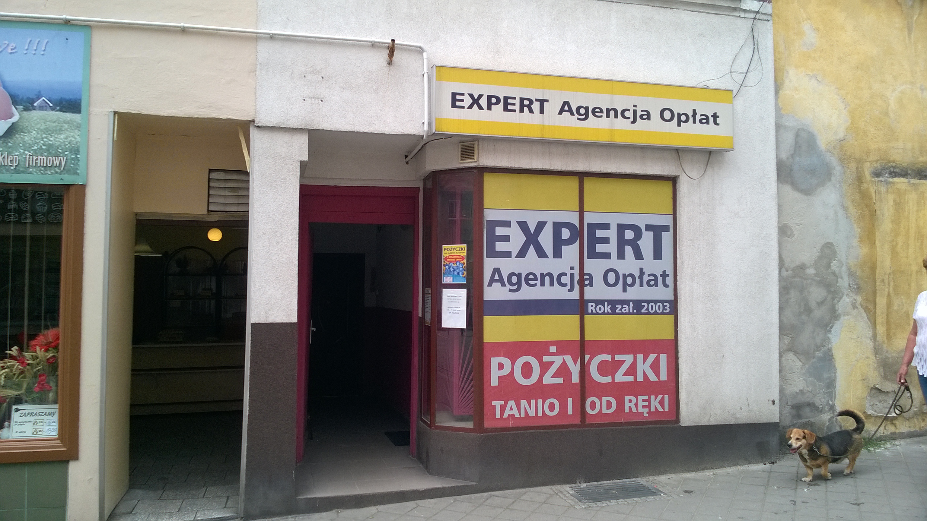 GF Expert